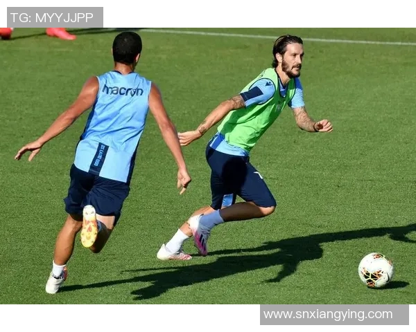 米林科维奇因伤缺席下一场比赛，球迷担心他的状态